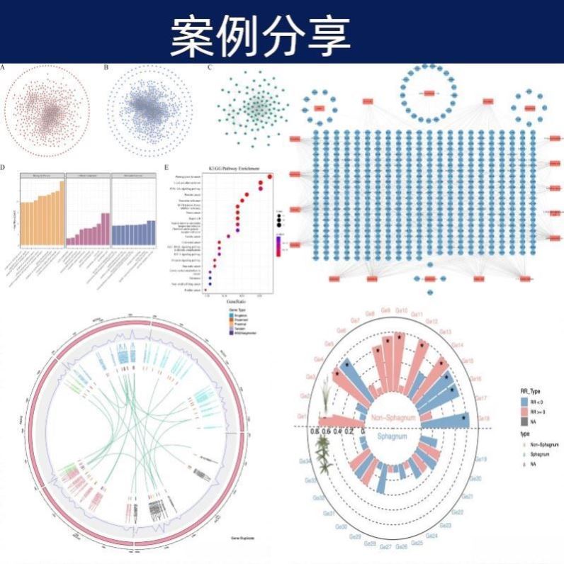 数据可视化图表案例分享设计素材商业分析图表模板