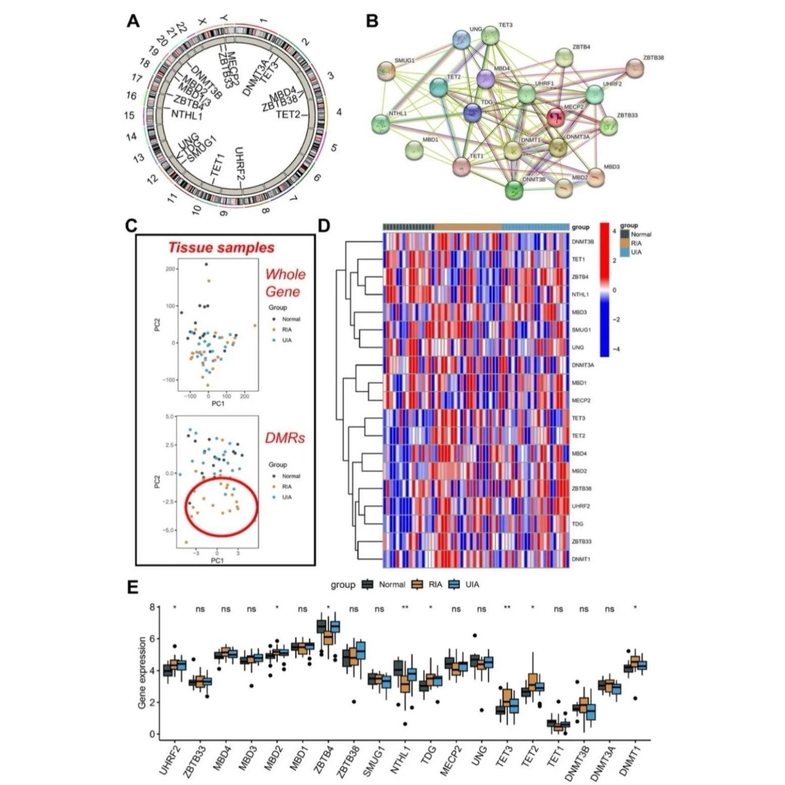 生信分析服务网络药理学单细胞分析GBD GEO TCGA挖掘
