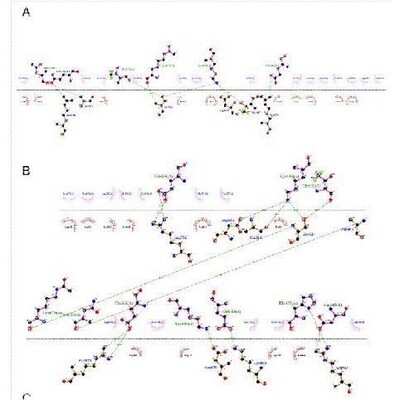 分子动力学模拟 分子动力学代算 生物分子计算 amber gromacs代算