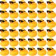 Duc Mini Duck 24PCS Squeak Toys Ducks Float Rubber and