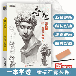 夺魁素描石膏头像临摹范画