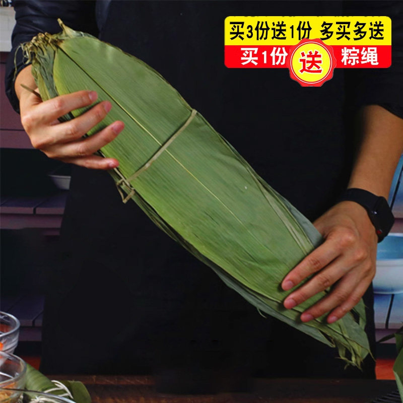 包粽子的叶子 棕叶大粽子叶 农家种叶新鲜大片大号中号竹叶送棕线