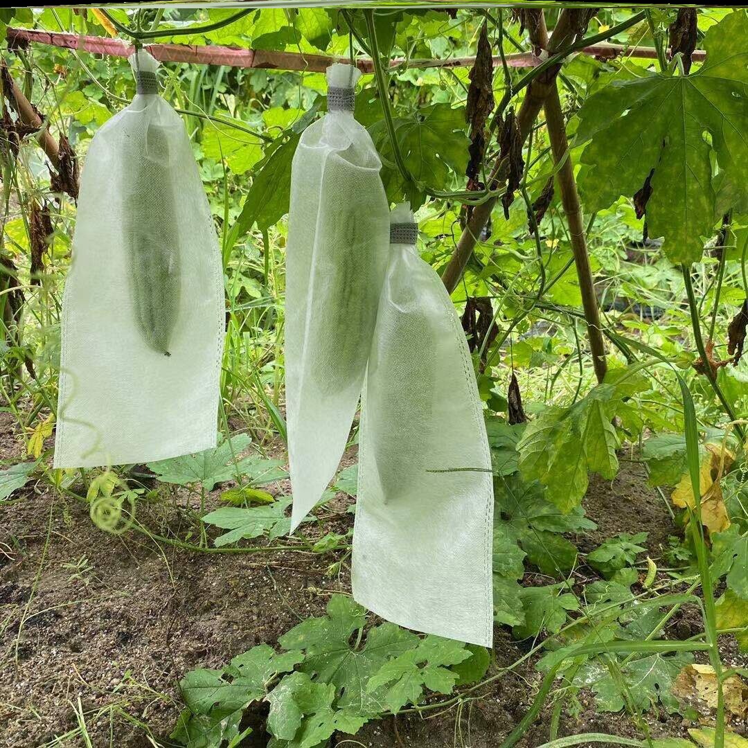 丝瓜袋果蔬西瓜套袋蜜保护套青瓜丝防虫防水冬套的袋子羊角蜜透光