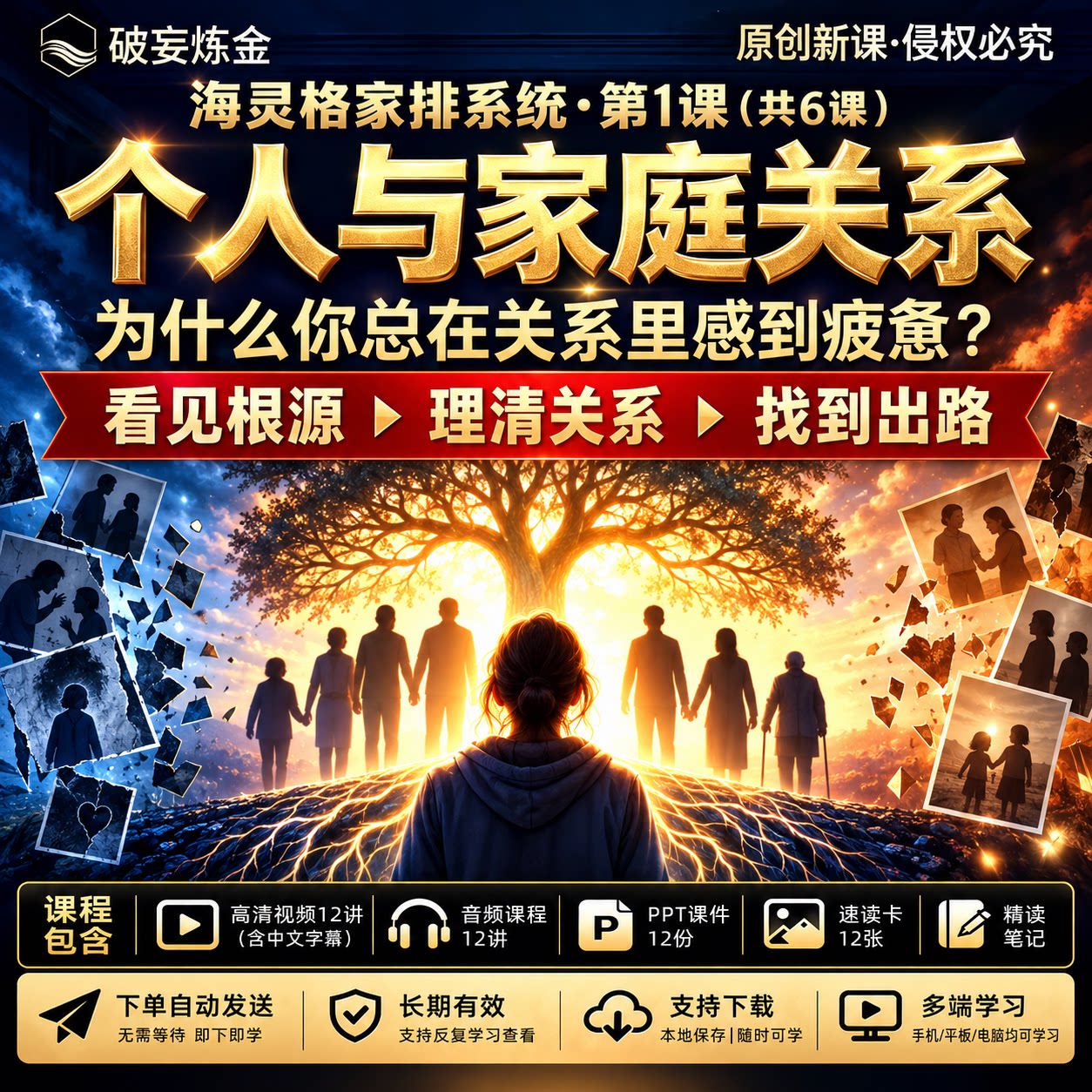 家庭系统排列课程个人家庭关系代际沟通关系模式心理学海灵格视频