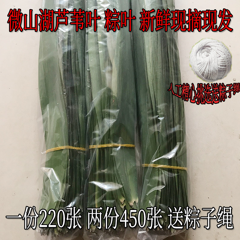 微山湖新鲜芦苇叶粽叶一斤装宽度3到4厘米约200片长50厘米送绳