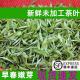 2026年新春茶广西新鲜茶叶原料未加工鲜叶嫩芽可打恭城油茶500克
