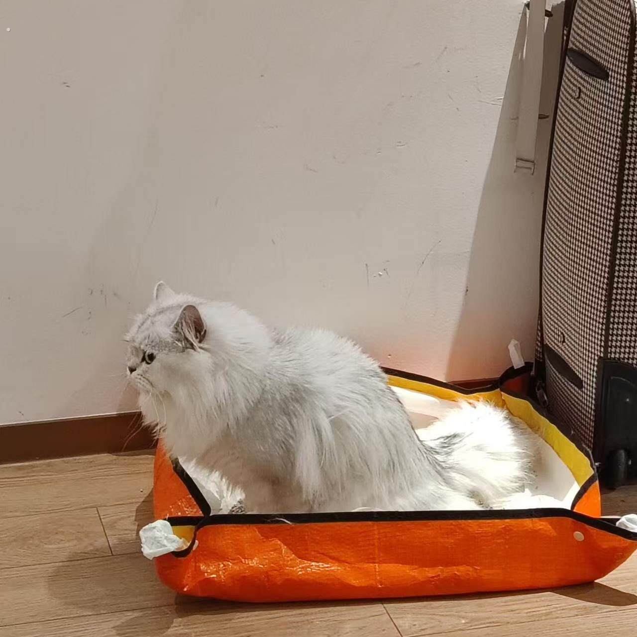 折叠猫砂盆铲屎官国庆长途旅行留守猫狗加大如厕外出防水便携厕所