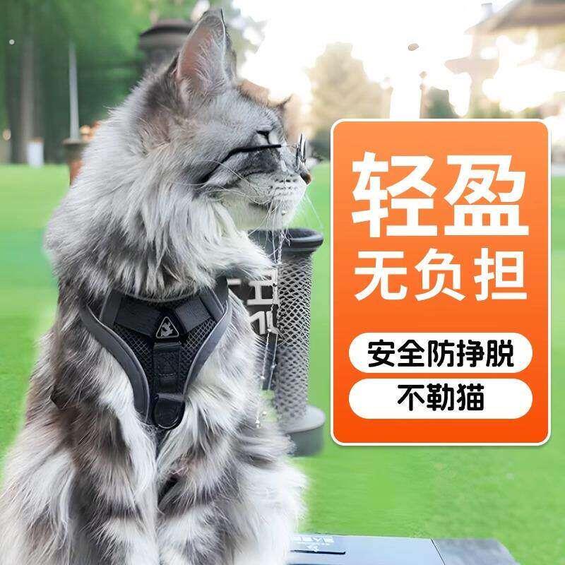 猫咪牵引绳防挣脱外出专用遛猫防跑神器溜猫绳背心式小猫宠物用品