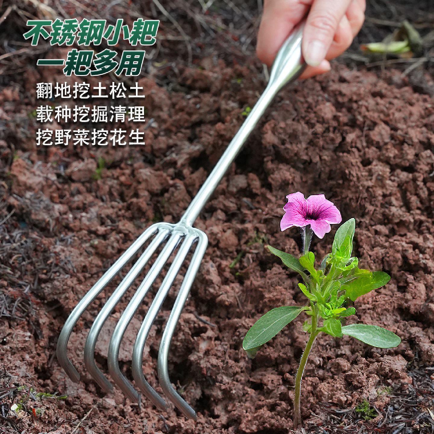 不锈钢赶海神器园艺小耙子松土多齿耙子多爪海鲜耙工具挖螺小耙子