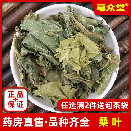 桑叶500g克霜桑叶茶中药材