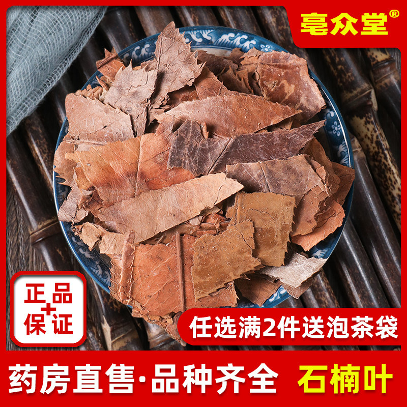 石楠叶500g中药材石南叶干货石眼树叶新货老少年叶石楠叶天然正品