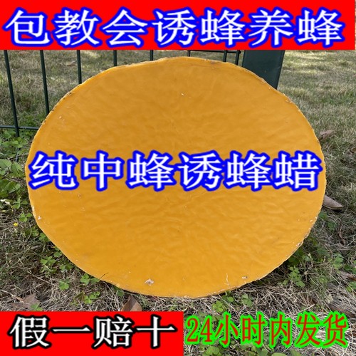 土蜂蜡纯正天然黄蜂蜡诱蜂用引蜂诱蜜蜡可食用蜜蜡蜂蜡木用抛光-封面