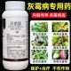 灰霉病专用药异菌脲杀菌剂疫病黄瓜韭菜番茄草莓葡萄果树灰霉农药