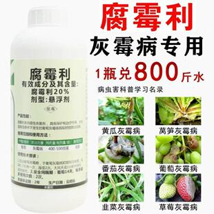 灰霉病专用药腐霉利杀菌剂疫病黄瓜韭菜番茄草莓葡萄果树灰霉农药