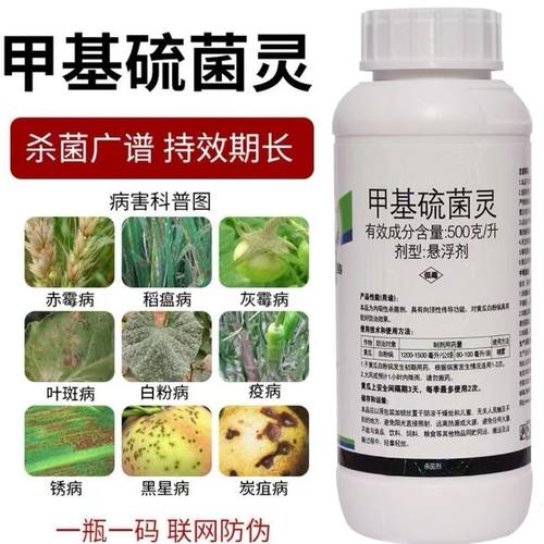 甲基硫菌灵甲托白粉病霜霉病炭疽病灰霉病果树植物花卉农药杀菌剂
