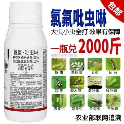 31%氟氯吡虫啉蚜虫蓟马白粉虱蚧壳虫跳甲果树蔬菜花卉农药杀虫剂