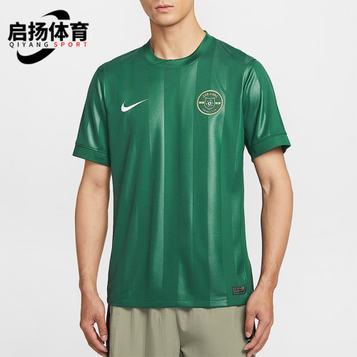 Nike/耐克正品Dri-FIT男士经典透气短袖足球训练球衣IQ0496-341