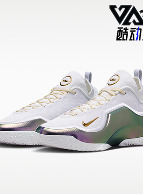 Nike/耐克正品LeBron新款男白紫色经典实战外场篮球鞋IB9558-100