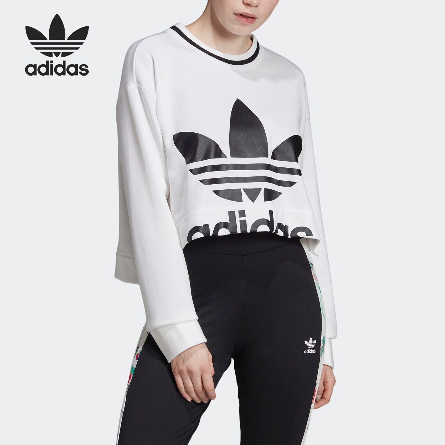 Adidas/阿迪达斯正品 三叶草CROPPED SWEATER女装休闲卫衣 ED4759