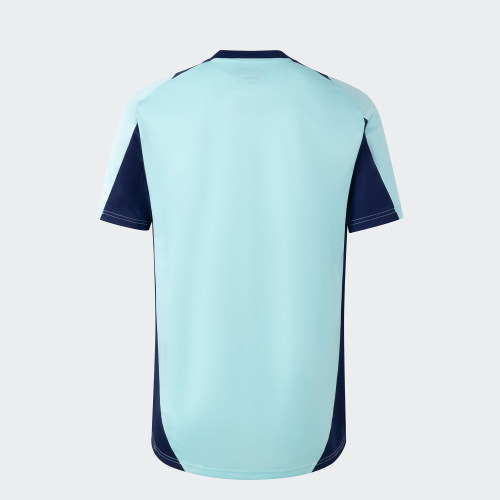 Adidas/阿迪达斯官方正品AFC TR JSY男士运动足球球衣短袖IT2228