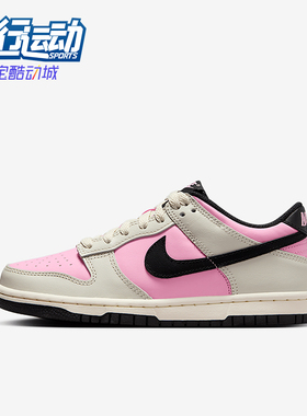 Nike/耐克正品Dunk Low GS女子大童运动复古系带板鞋FB9109-601