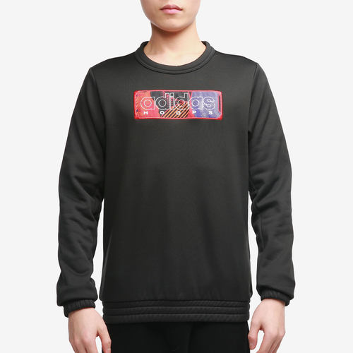 Adidas/阿迪达斯男子套头卫衣