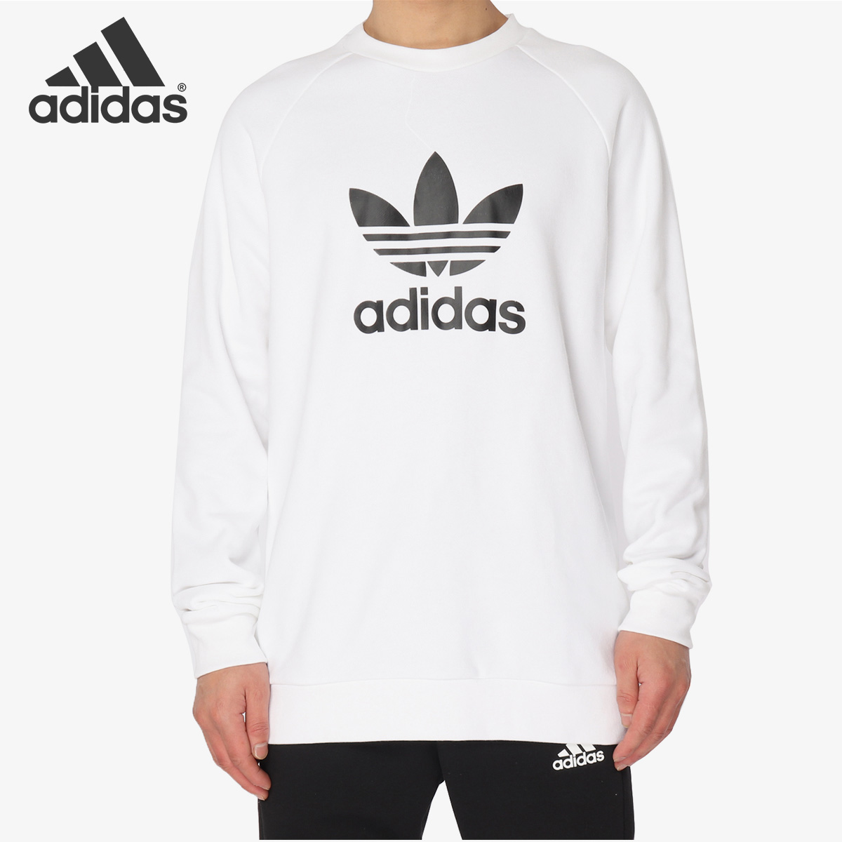 Adidas/阿迪达斯正品当季新款 TREFOIL CREW 男子卫衣DV1544