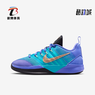 3儿童运动低帮减震耐磨篮球鞋 Nike 耐克正品 Sabrina 500 IQ0831