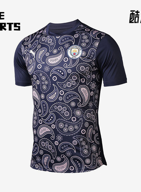 Puma/彪马正品2025男士日常圆领套头耐穿透气足球短袖758030-09
