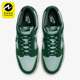 耐克正品 FQ8249 Dunk SE男士 Nike 透气低帮板鞋 RETRO 轻便经典 300