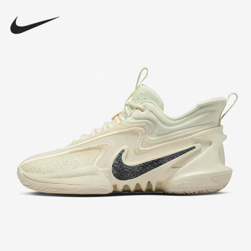 Nike/耐克正品男款舒适减震防滑耐磨低帮篮球鞋DH1536-300