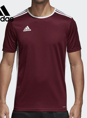 Adidas/阿迪达斯正品当季新款男子Entrada 18组队队服CD8430