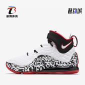 100 XVII 耐克正品 Nike 经典 LEBRON EP男士 CT6052 实战篮球鞋