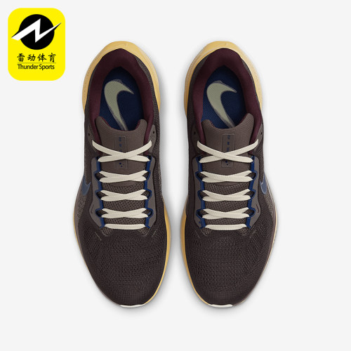 Nike/耐克正品Pegasus 41男士复古缓震经典透气跑步鞋HV4327-299