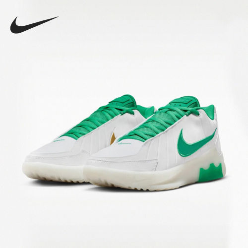 Nike/耐克正品LEBRON WITNESS IX EP男士经典篮球鞋HQ8035-101