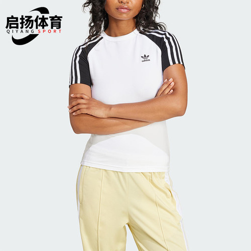 Adidas/阿迪达斯正品三叶草女士休闲修身运动针织透气短袖JD0834