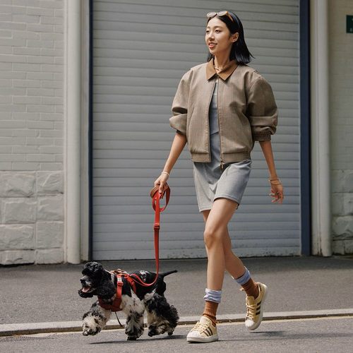 板鞋低帮（帮高小于10cm)