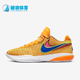 耐克正品 运动男士 低帮透气耐磨实战篮球鞋 Nike DJ5423 801