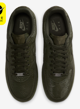 Nike/耐克正品2025秋季款男士日常蛇皮纹低帮耐磨板鞋IB0018-301