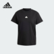 阿迪达斯正品 BLUV Adidas TEE女士日常短袖 圆领T恤IP2266