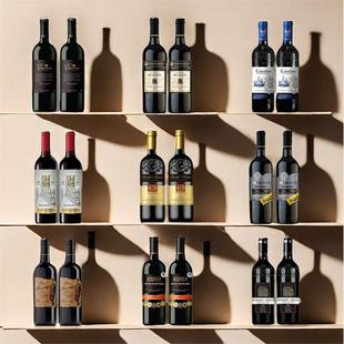 样板间售楼部酒柜酒窖装饰品摆件真红酒假酒软装橱柜展厅道具