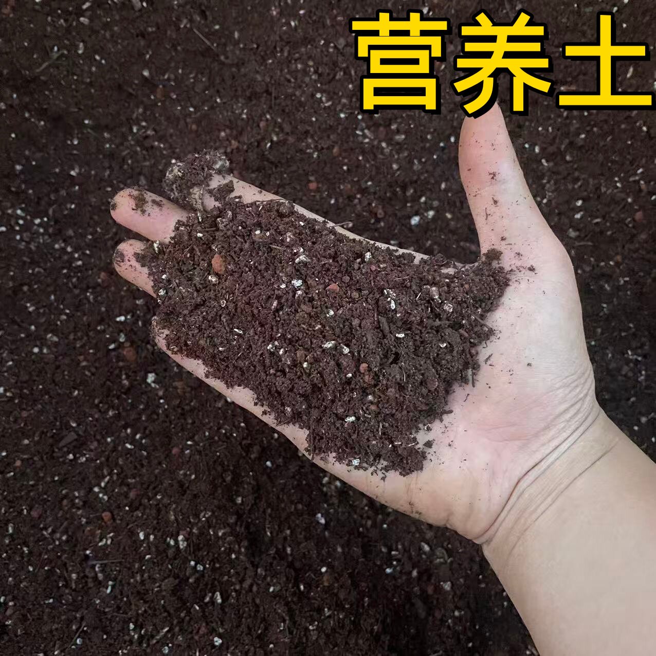 营养土养花通用专用种菜土壤种植土绿植物多肉育苗家用盆栽种花土