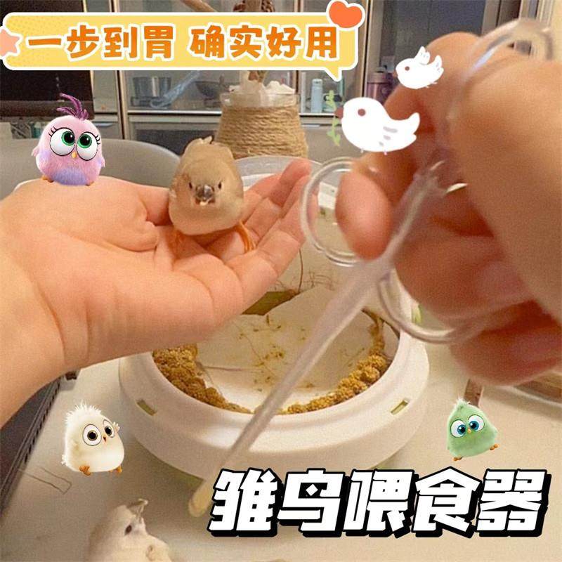 雏鸟喂食器鹩哥八哥绣眼幼鸟用具鸽子喂药器幼鸟用具幼鸟喂食器