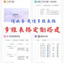 飞书多维表格定制服务|一对一按需搭建,专治各类效率痛点