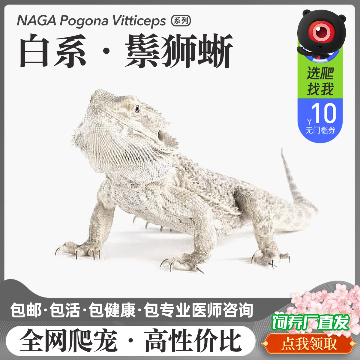 特色爬宠易养温顺超白网红体活体