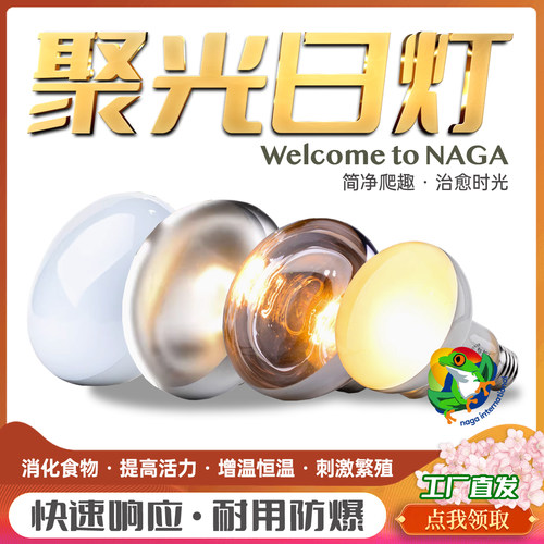 爬宠UVA暖光加热恒温太阳晒背灯