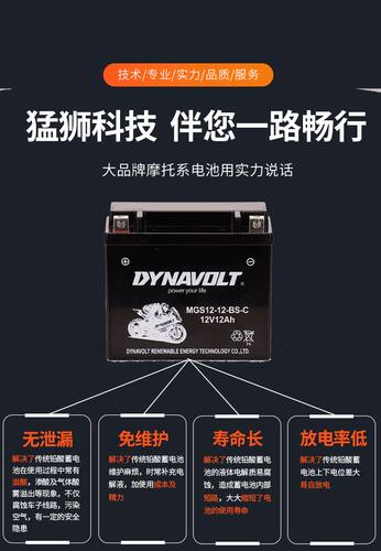 魅影255SGW300电瓶蓄电池