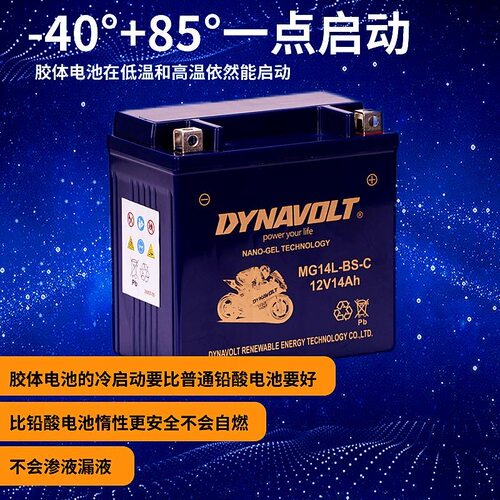猛狮摩托车电瓶通用大排量蓄电池