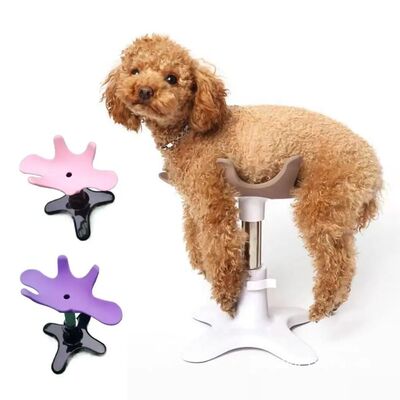 New Dog Grooming Beauty Fixed Table Base Frame Removable Adj
