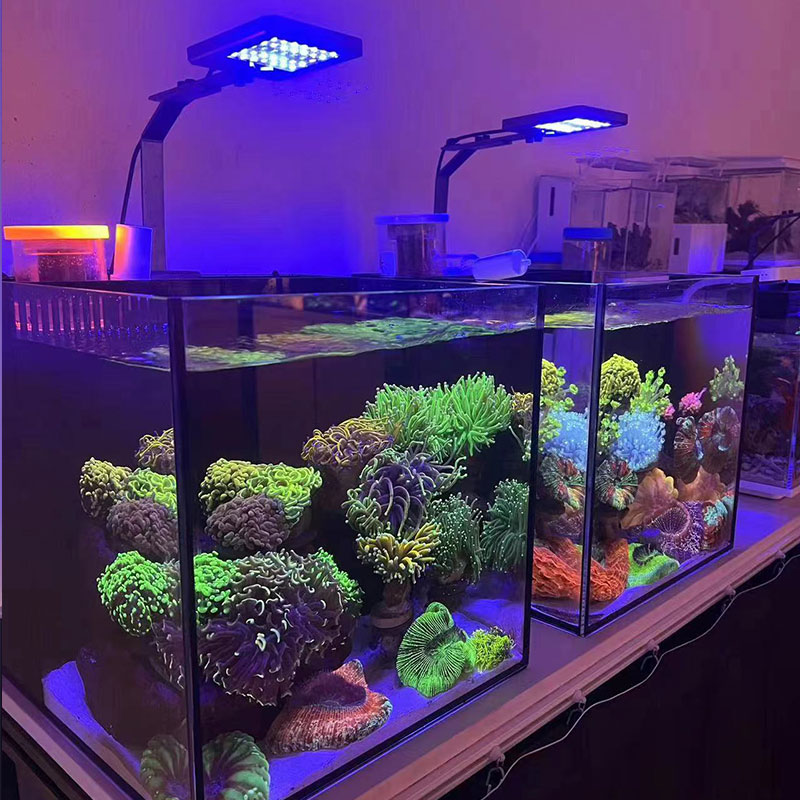 AS背滤海水缸小缸珊瑚缸全套桌面超白玻璃新手 25/30/35/40/45/60